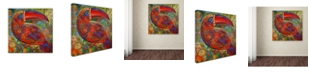 Trademark Global Oxana Ziaka 'Toucan Deco' Canvas Art - 14" x 14" x 2"